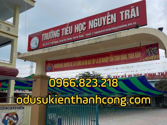 Dự án dù trường Tiểu Học Nguyễn Trãi