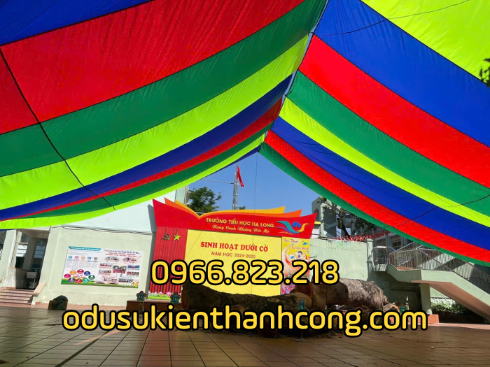 Dù che trường Tiểu Học Hạ Long
